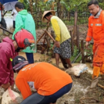 Banjir Semakin Tinggi, Warga Sowan Kidul Jepara Khawatir! 