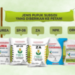 Kelangkaan Pupuk Subsidi di Jepara, 1 Permasalah Kerap Terjadi Mengapa?