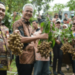 Ganjar Janji Hapuskan Hutang